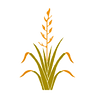 0Harakeke.png