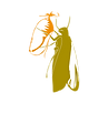 0Mokoroa.png