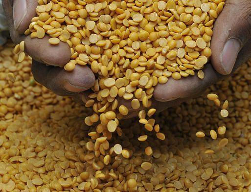 Processed kandul Dal