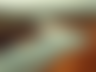 Unveiling the Causes of Brazil's Drought