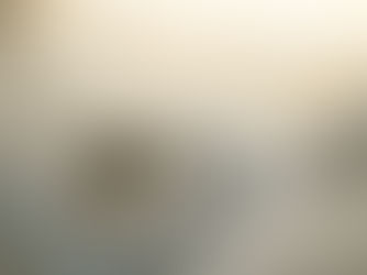 Kenalan dengan Limestone, Batu Alam Klasik yang Cantik