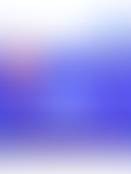 Apa Itu Local Area Network (LAN), Contoh serta Fungsinya