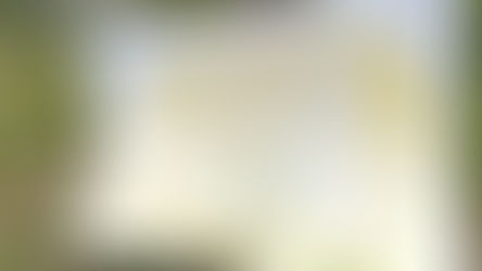 Zachraňte včely ve školce