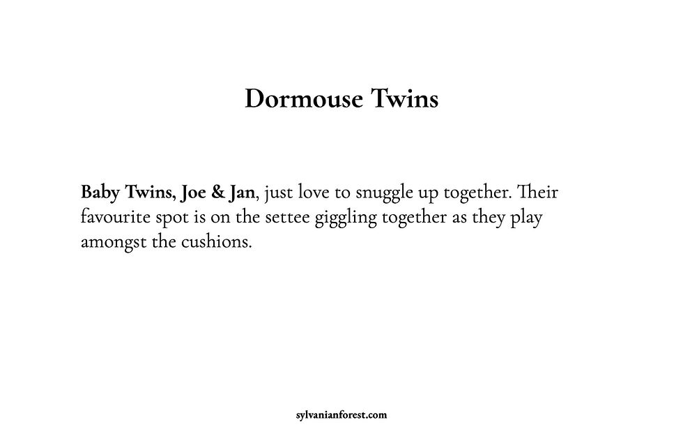 Thumbnail: Hazelnut Dormouse Twins