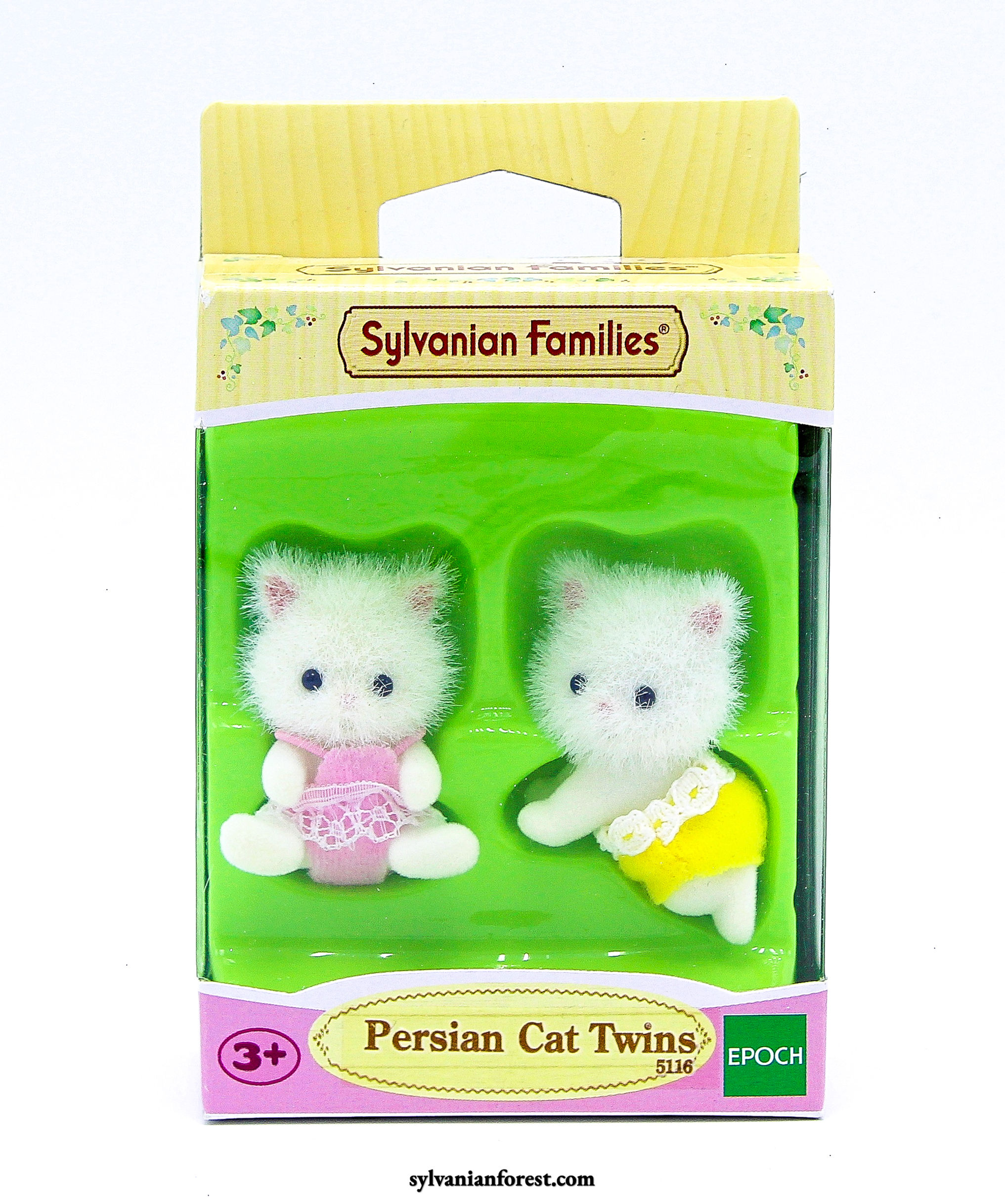 Persis Persian Cat Twins