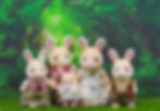 Wildflower Rabbit Family