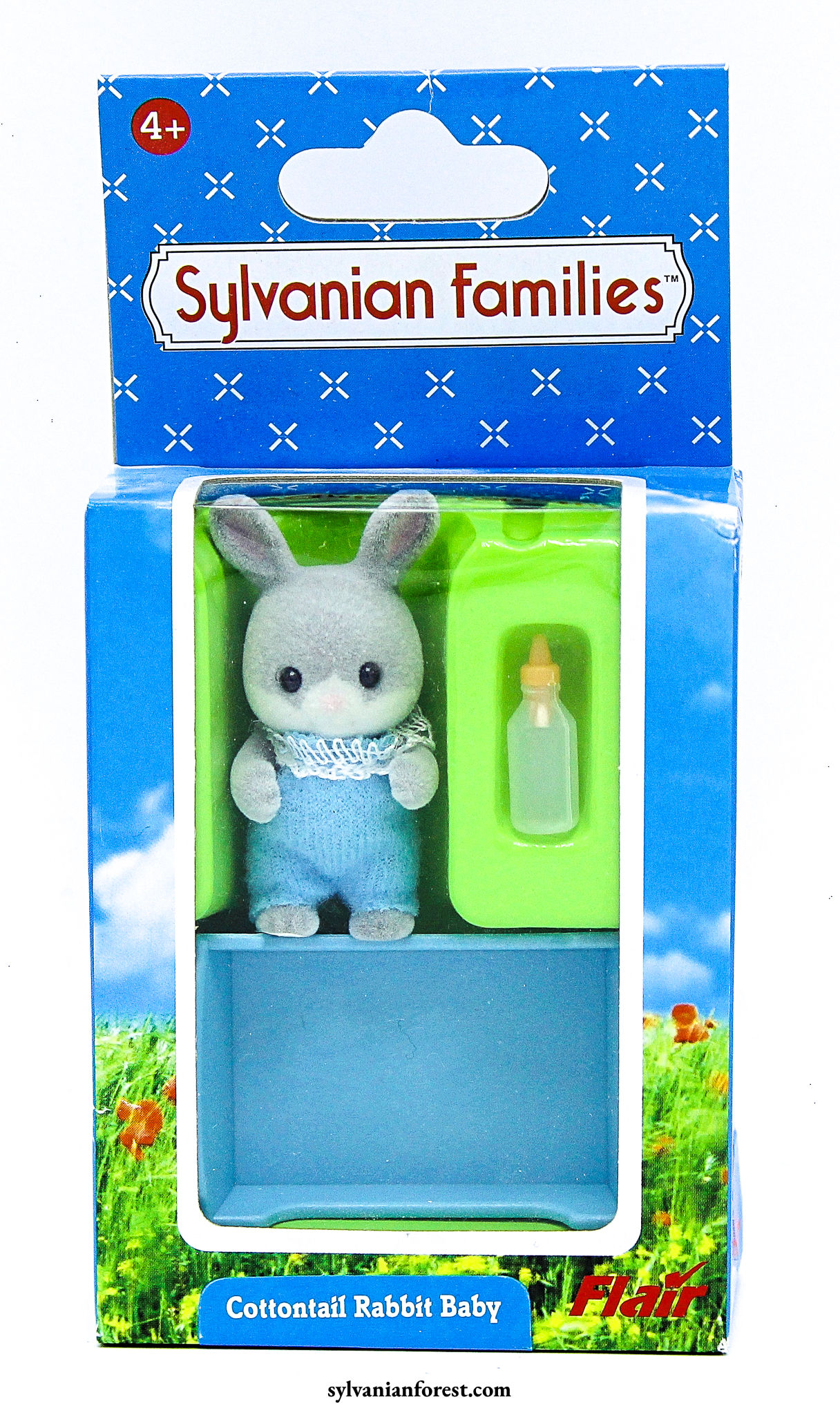 Cottontail Rabbit Baby