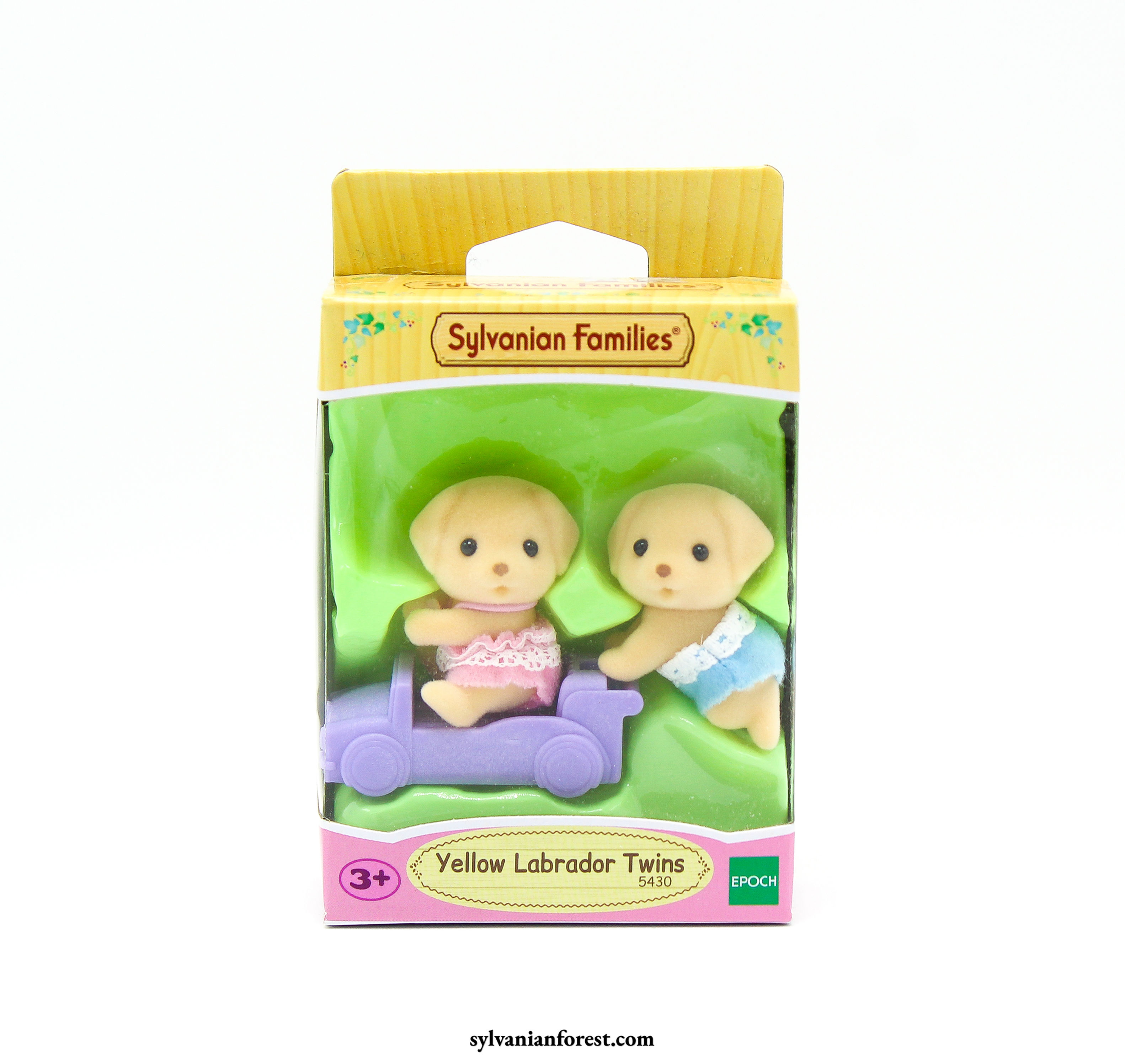 Yellow Labrador Twins