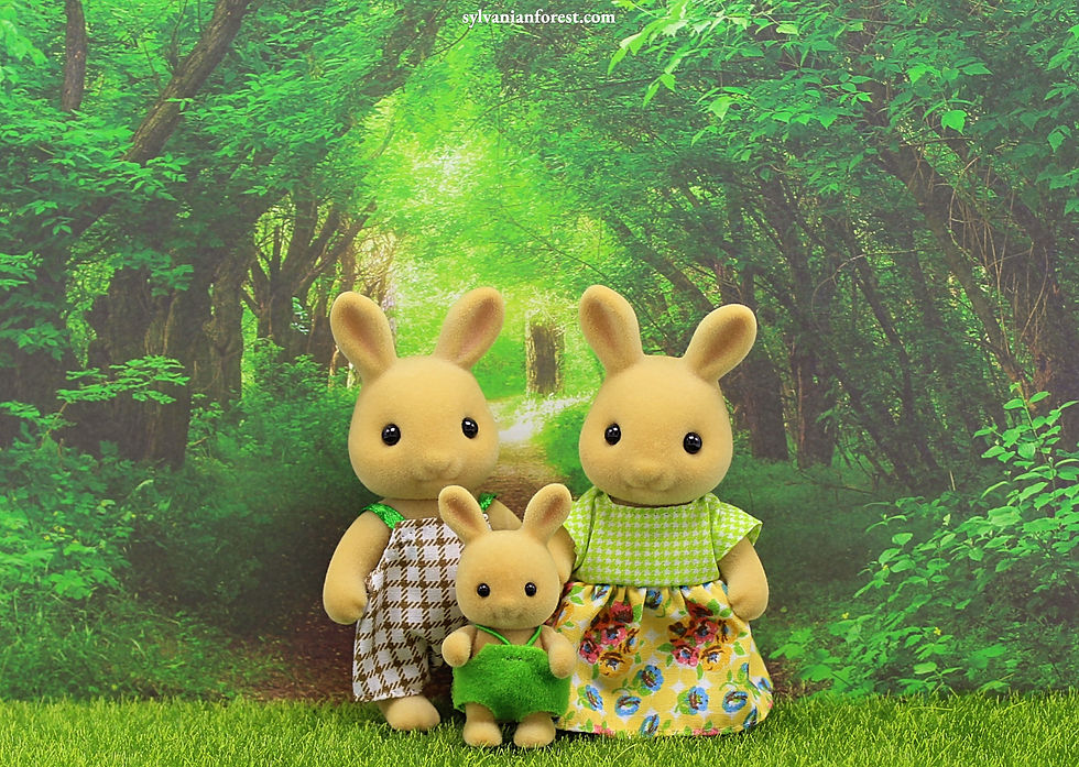 Thumbnail: Sunny Rabbit Family