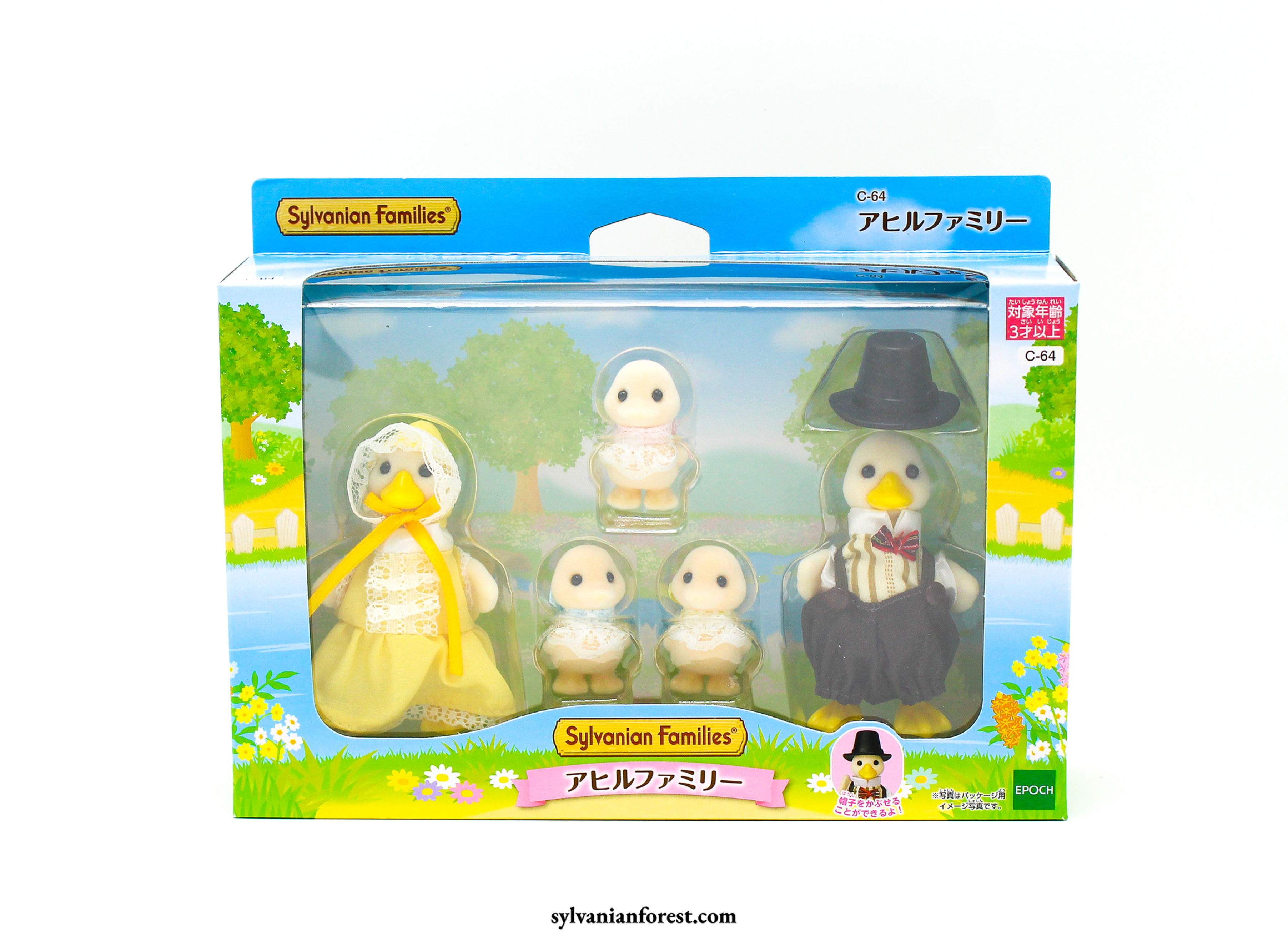 Puddleton Duck Family