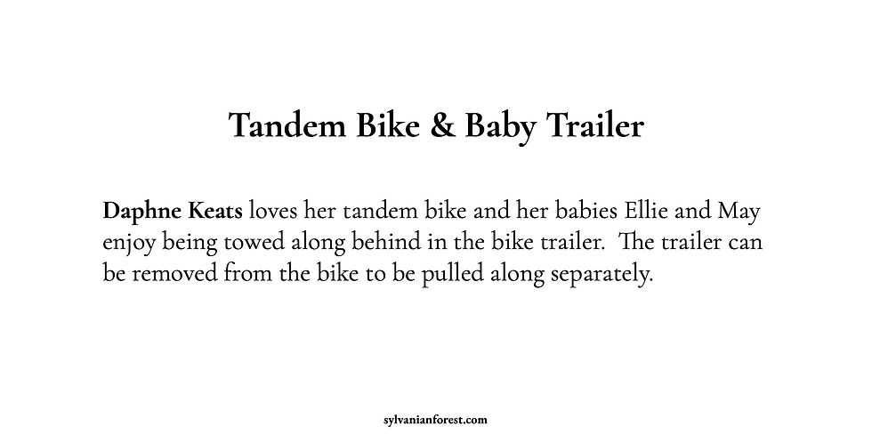Sylvanian Families Tandem Bike & Baby Trailer - Flair, 2012