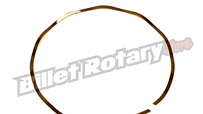 Front outer Oil Control Spring (WHITE)  Early RX