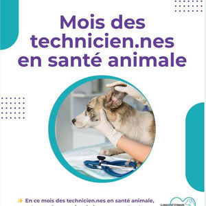 Mois des techniciens en santé animale (Octobre 2024)
