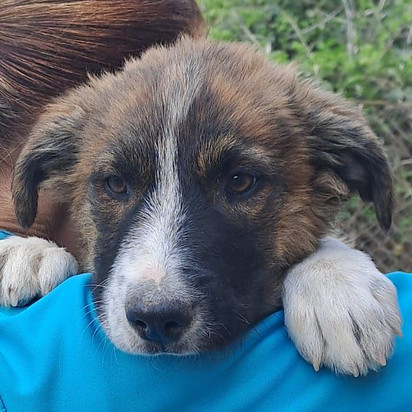 WhatsApp Image 2026-04-19 at 13.12_edite