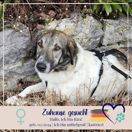 WhatsApp Image 2026-03-01 at 21.12.11.jpeg