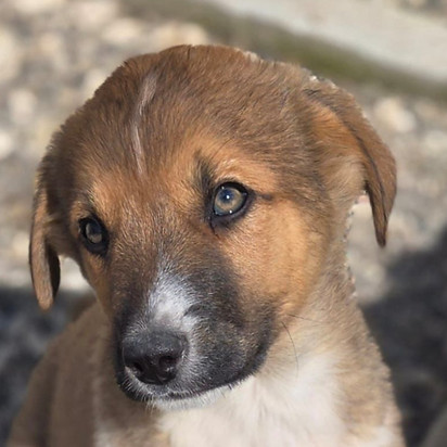 WhatsApp Image 2026-03-27 at 06.24_edite