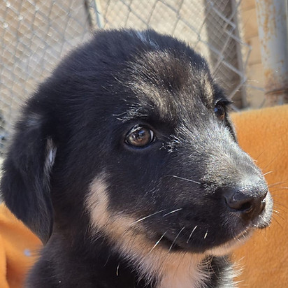 f995c765-7c56-4d6a-a2a3-16dc7f5f5228_edi