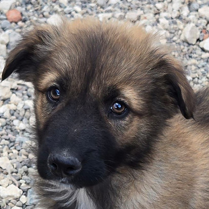 WhatsApp Image 2026-03-27 at 06.25_edite