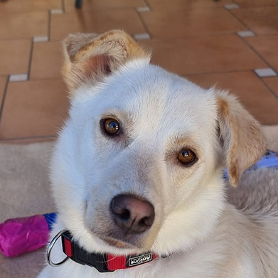 WhatsApp Image 2026-04-02 at 17.12_edite