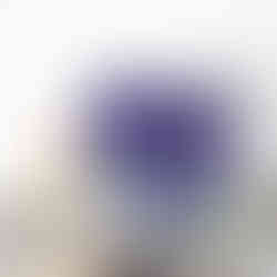 Butterfly Pea barley | My Blue Tea