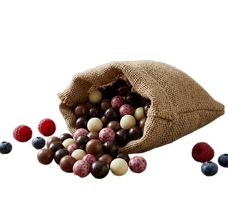Beeren-Trio in Schokoladen Bio
