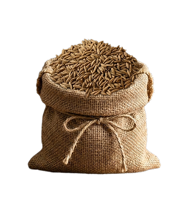 Bio Kreuzkümmel (Cumin) ganz