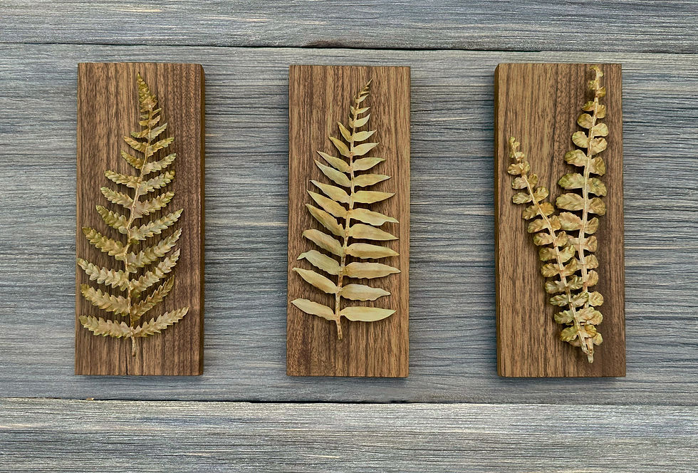 Cut Copper Fern Collection Amazakue Frames Front.jpg