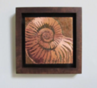 Copper Art, Nautilus Fossil Etched Copper Wall Art with Hardwood Frame