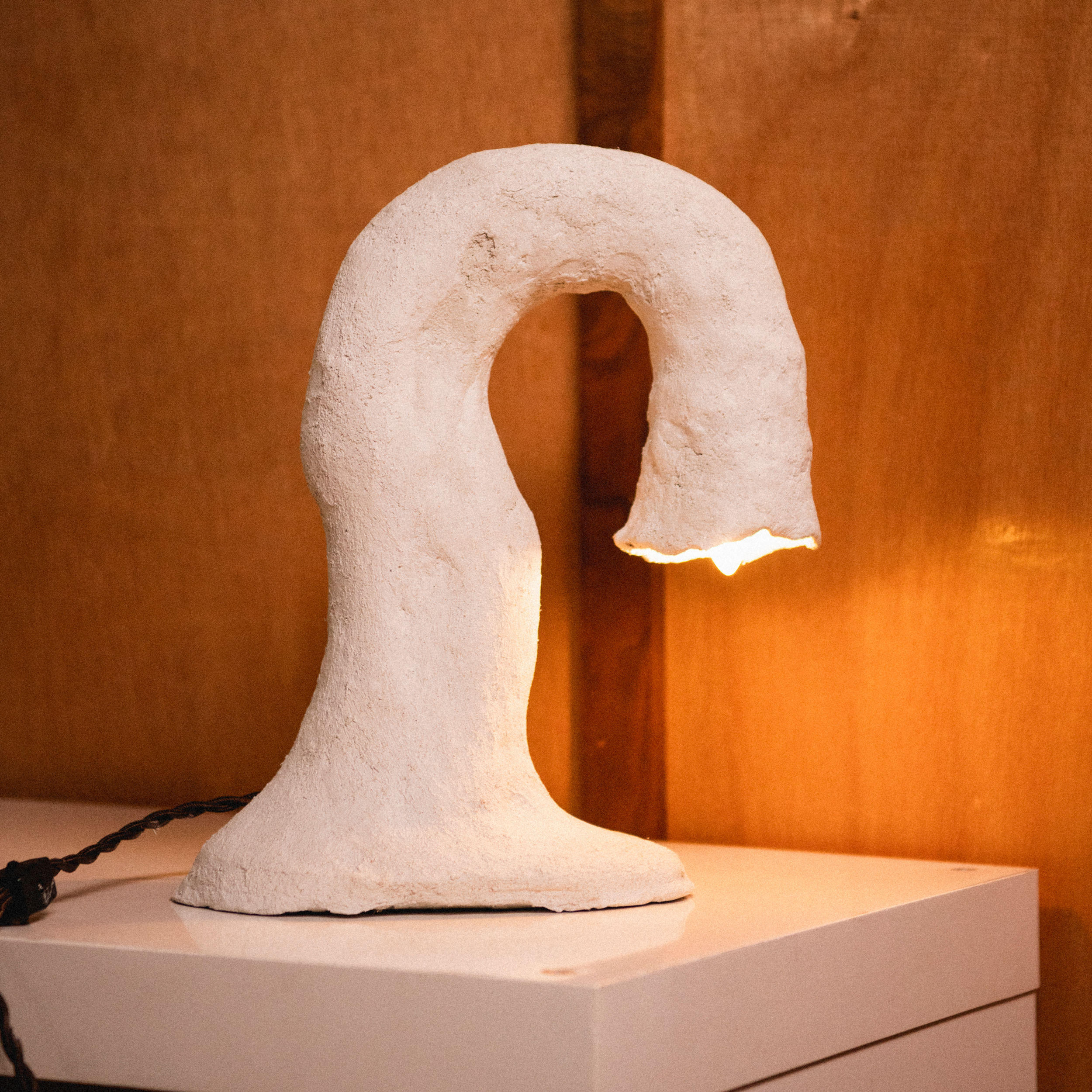 #17 • organic table lamp