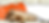 IMG_2130.PNG
