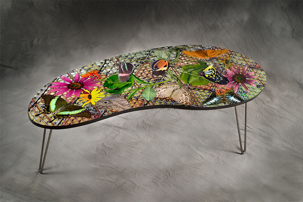 Kidney-Flower Butterfly Tech