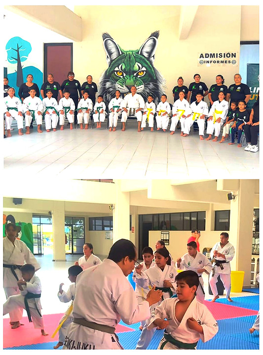 dojo zacatecas 2_edited.jpg