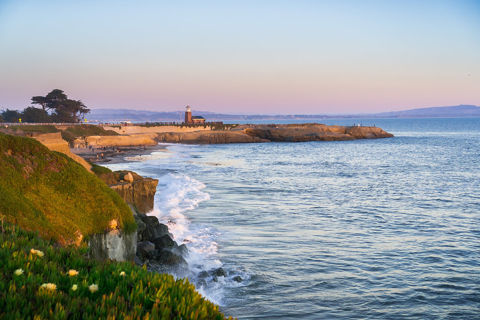 AdobeStock_234572110.jpeg