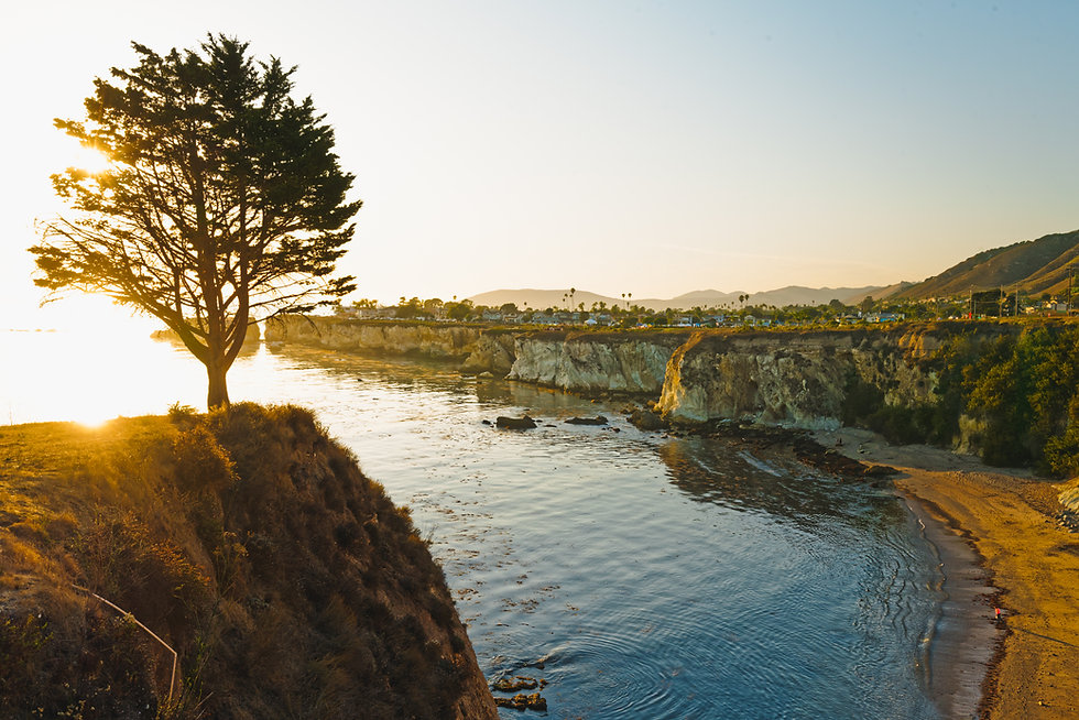 AdobeStock_295750999.jpeg