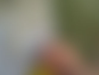 5 Ways Businesses Can Reduce Energy Consumption 