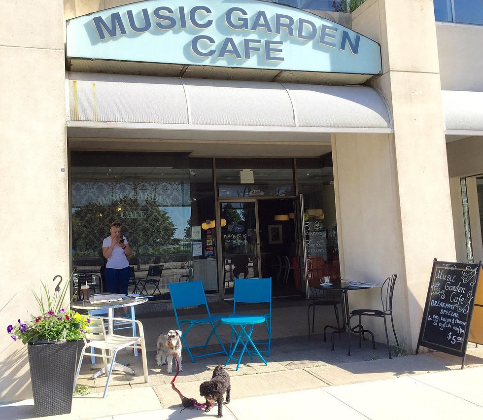 Dog-friendly Cafe Toronto