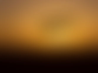 The tree of Ténéré