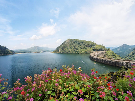 Idukki Dam: Where Nature Meets Engineering Marvel (And a Dash of Legend)