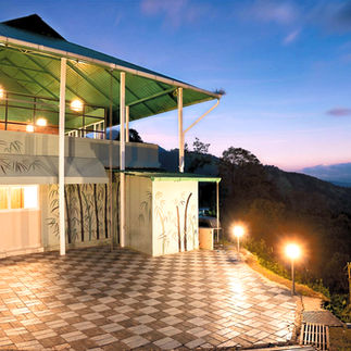 budget friendly stay in monkey tribe