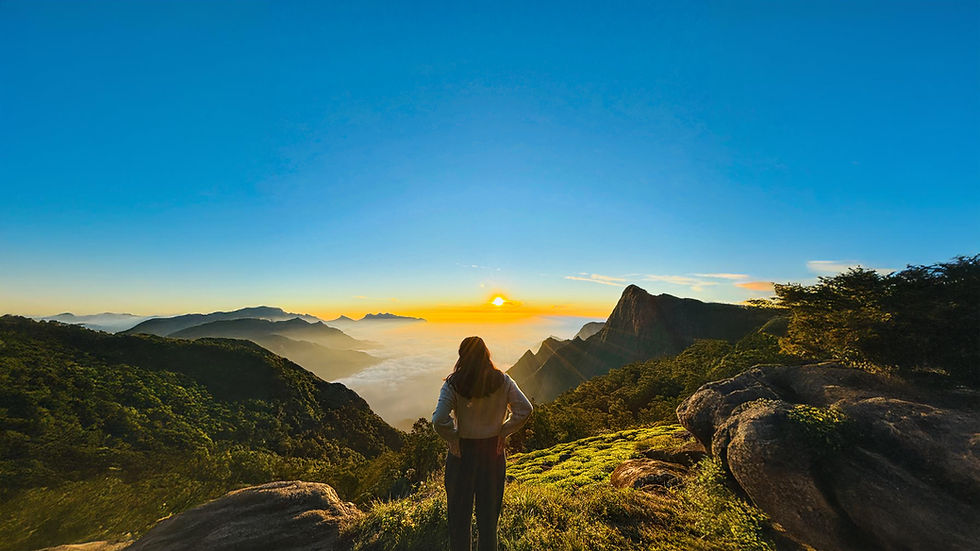 Person watches sunrise over misty mountains; vibrant sky and lush landscape create a serene mood.