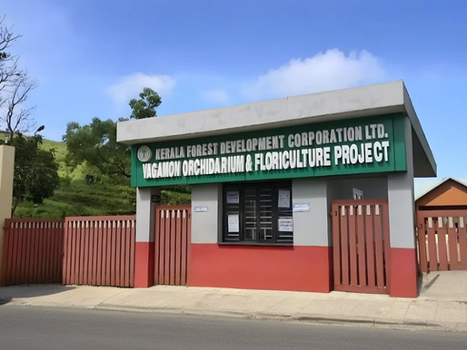 Orchidarium & Floriculture: A Floral Escape in Vagamon