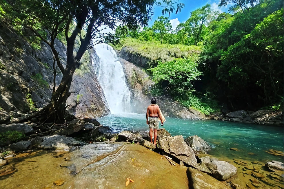 Welcome to Monkey Tribe: Epic Adventures Without Limits!