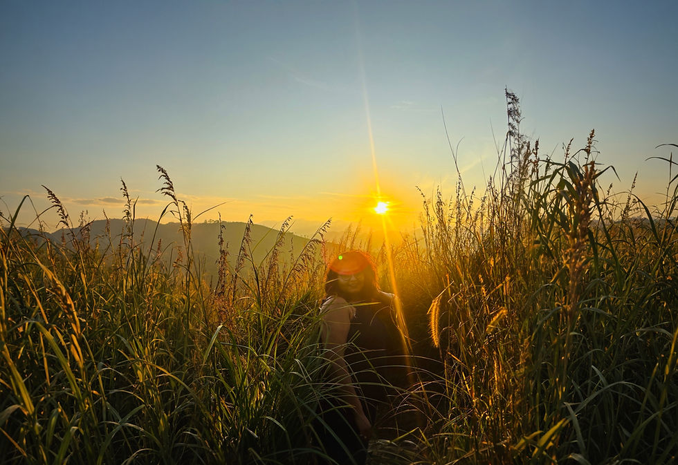 Person stands in Vagamon grass at sunset, mountains in background. Sunlight creates a warm, serene atmosphere.