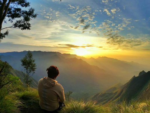 Top Things to Do in Munnar