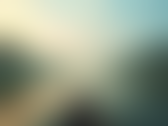 Top Attractions and Experiences to Explore in Kerala