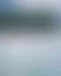 Young travelers paddling a rowboat across the calm waters of Ponmudi Dam, green forested hills reflected in the reservoir.