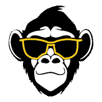 Monkey Tribe Backpacker hostel chain in India
