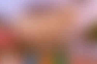 Monkey tribe alleppey in sunset