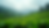Wide angle view of lush tea plantations in Munnar
