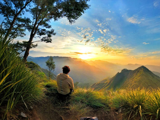 Kerala: Discover the Land Where Every View Feels Like a Postcard